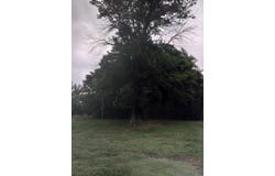 25185 W Highway 28, Bluffton, AR 72827