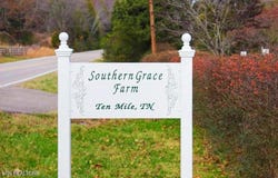 4957 Decatur Highway Hwy, Ten Mile, TN 37880