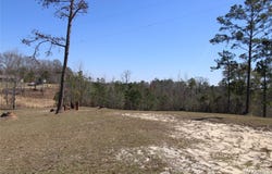 118 Widgeon Lane, Grady, AL 36036