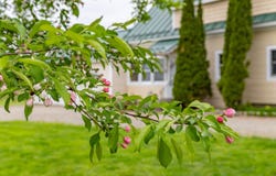 303 Williams Road, Bradford, ME 04410