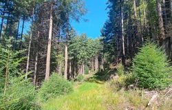 403.131042 Redmond Road, Eureka, CA 95503