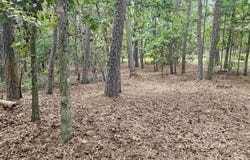 23 Fastota Lane, Hot Springs Village, AR 71909