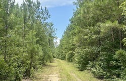 0 Quail Road, Hemingway, SC 29554