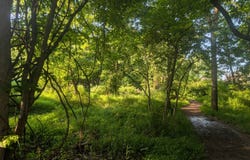 000 Hall Ave, Hillsborough, NJ 08821