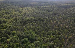 TBD M28, Wakefield, MI 49968