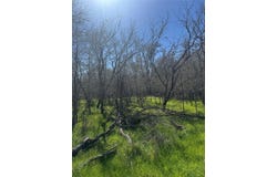 291 Kolekole LN, Bastrop, TX 78602