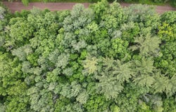 Wilderness Retreat lot: 5, Pine City, MN 55063