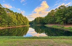 320 PR 8585, Winnsboro, TX 75494