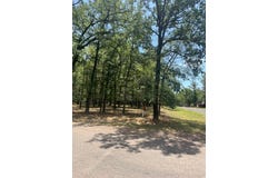 146 St Andrews Drive, Mabank, TX 75156