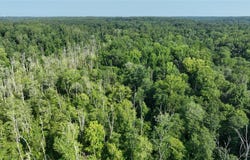 2009  Covington Rd, Crozier, VA 23039