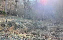 Tract 1 Bundren Mountain Road, Tazewell, TN 37879