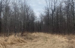 On CTH O, Catawba, WI 54515