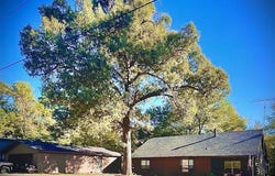 307 S King Lake Road, Scroggins, TX 75480