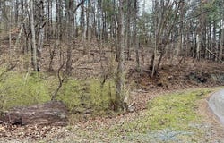 TBD Cherry Blossom Lane, Wytheville, VA 24382