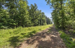 650 Little Fox Rd, Shirley, AR 72153