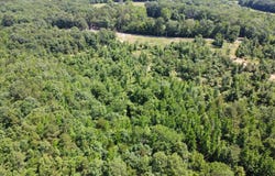 246 BURGESS, Bonnerdale, AR 71933