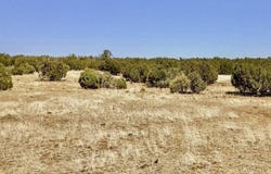 8692 SUPANCHECK Road, Show Low, AZ 85901