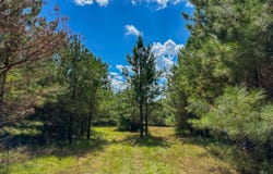 0 Moonlight Road, Jones, AL 36749