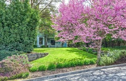 496 Beach Street, Ashland, OR 97520