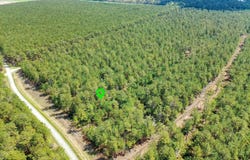 20 Sandy Point Road lot: 20, Scranton, NC 27875