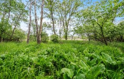 Lt1 County Highway E -, Hartford, WI 53027