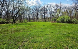 13973 Halliday Road, Plainview, IL 62685