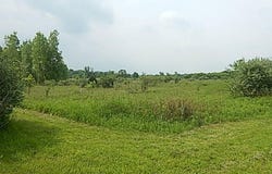 2855 Oakley Road, Stockbridge, MI 49285