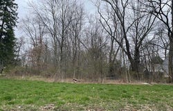 Southeast Avenue lot: 84, Tallmadge, OH 44278