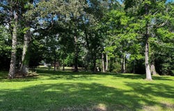 1045 Pace St, Many, LA 71449