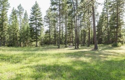 2559 United Copper Mine Rd, Chewelah, WA 99109