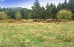 South Valley RD, Naselle, WA 98638