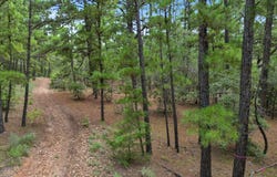 Lot 55 Akala LN, Bastrop, TX 78602