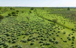 8040 County Road 2, Mobeetie, TX 79061