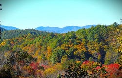 160 Mountain Field Drive, Blue Ridge, GA 30513