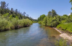 3141 Meadow Oak Drive, Cottonwood, CA 96022