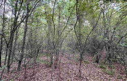269 Walker Rd, Higginson, AR 72068