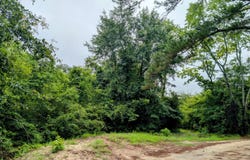 00 Flaming Star, Linden, NC 28356