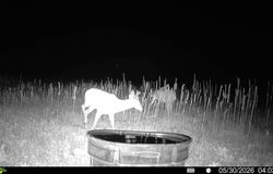 TBD County Road 86, Limon, CO 80828