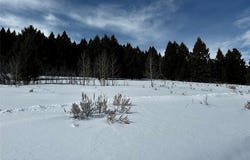 Parcel 23 Buffalo Lance Ranch, Cameron, MT 59720