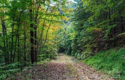 999 NC 209 Highway, Hot Springs, NC 28743