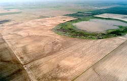 359 Acres CR 164, No City, TX 79521