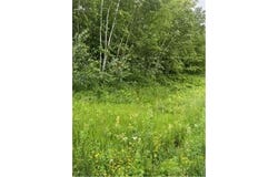 26259 County Road 26, Garrison, MN 56450