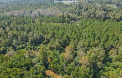 Highway 28, Mize, MS 39116
