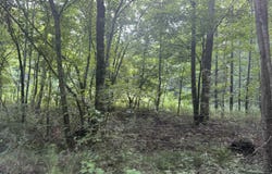 00 Old Weatherford Creek Rd, Lutts, TN 38471
