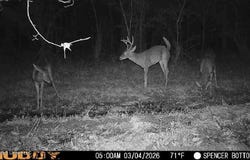 Bogue Chitto Road, Bogue Chitto, MS 39629