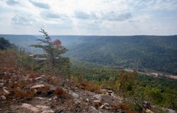 2.24 Acres Salolee Circle, South Pittsburg, TN 37380