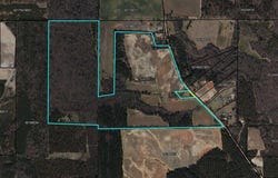 166.ACR Waterfall Lane (Parcel 00180021), Cairo, GA 39828
