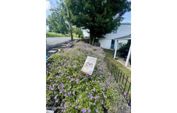 116 Nichols Street, Clarks Summit, PA 18411