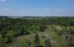 x Oleskie Trail, West Branch, MI 48661