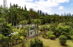 29-3707 KANNA ROAD, Hakalau, HI 96710